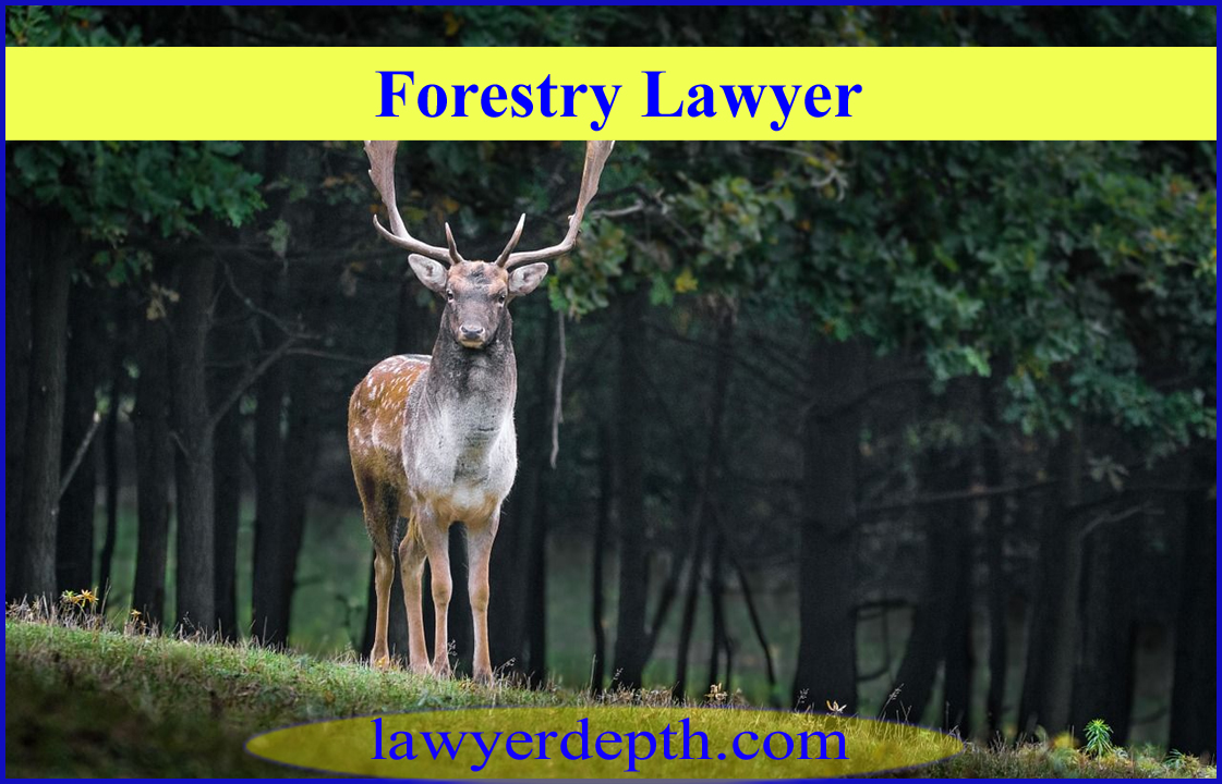 Forestry Lawyer